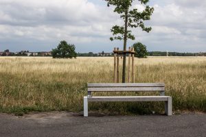 Photographie de portraits, mariage et grossesse, FAQ et tarifs